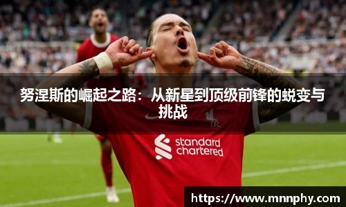 努涅斯的崛起之路：从新星到顶级前锋的蜕变与挑战